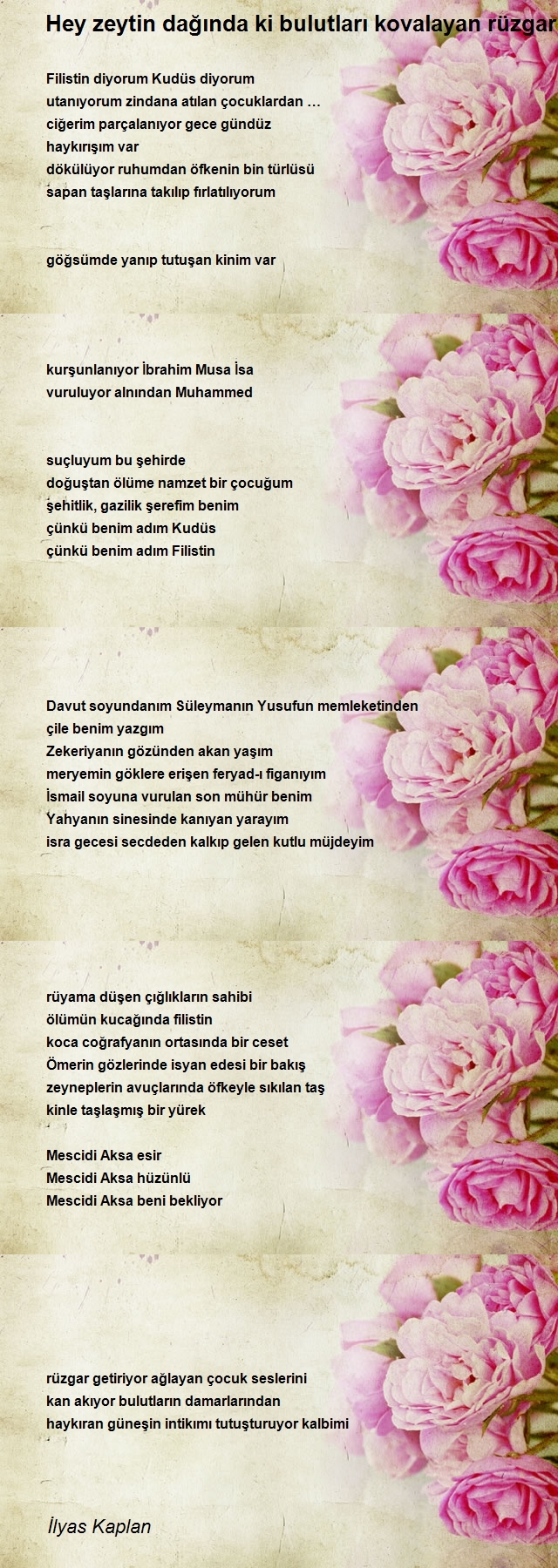 İlyas Kaplan