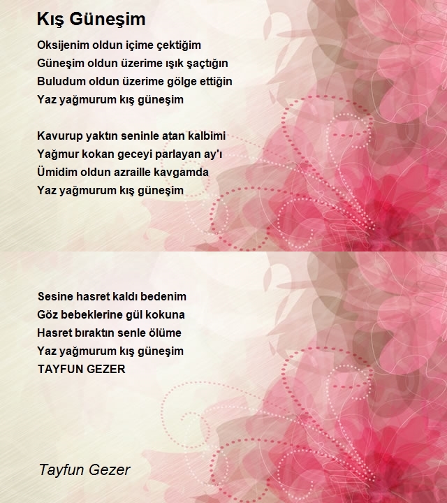 Tayfun Gezer