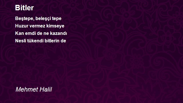 Mehmet Halil