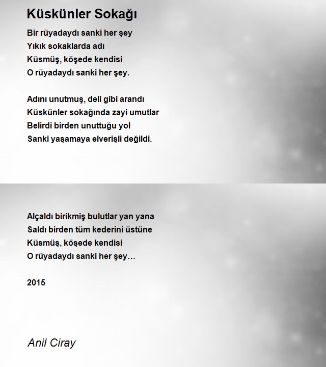 Anil Ciray