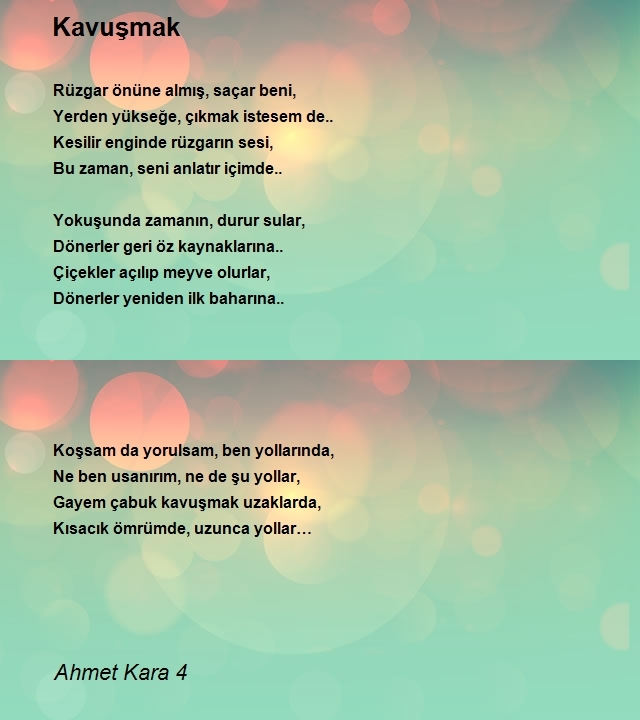 Ahmet Kara 4