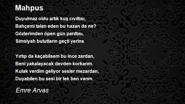 Emre Arvas