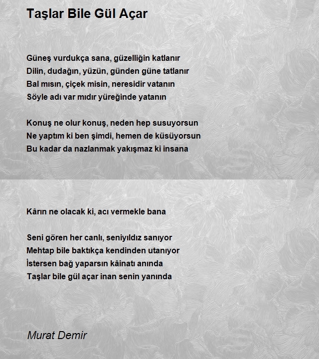 Murat Demir