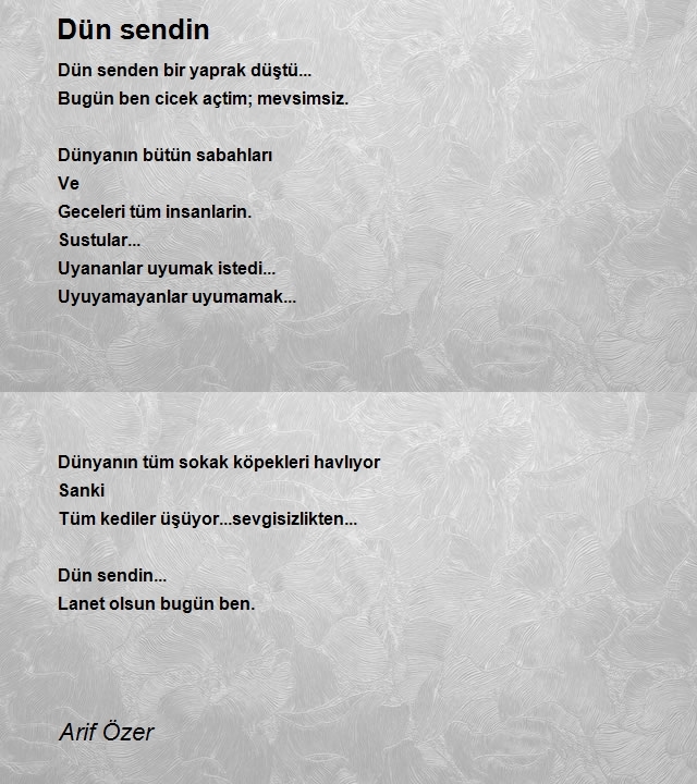 Arif Özer