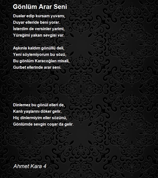 Ahmet Kara 4