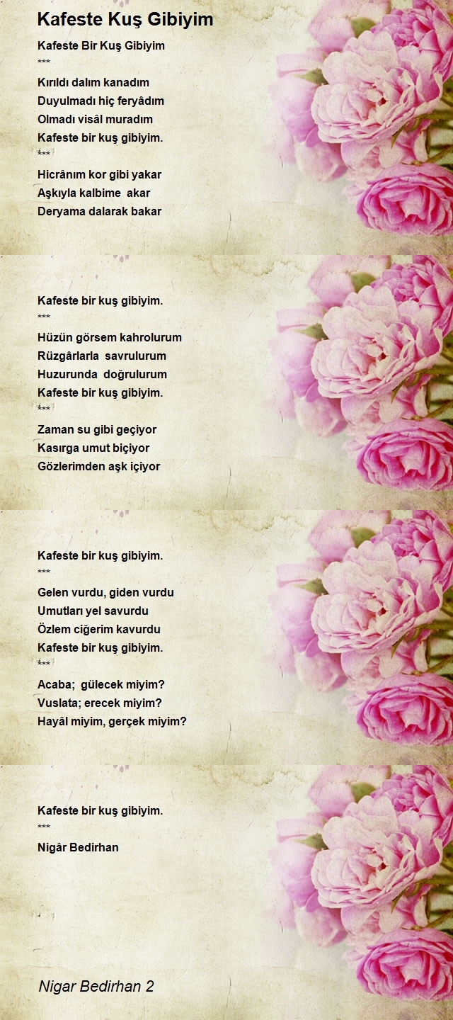 Nigar Bedirhan 2