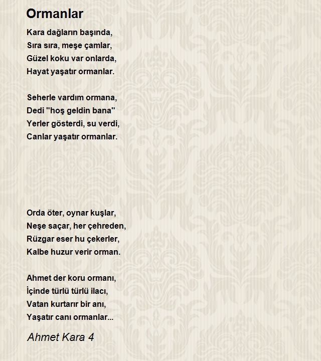 Ahmet Kara 4