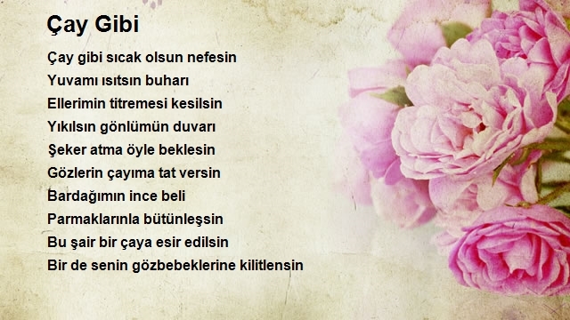 Resul Aslan