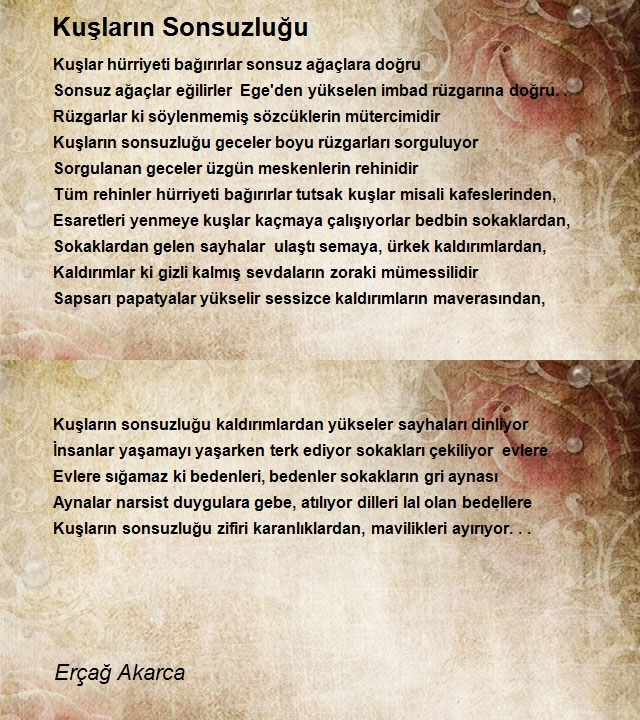 Erçağ Akarca