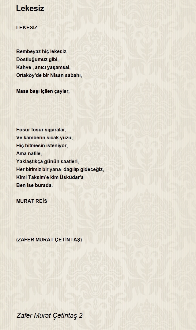 Zafer Murat Çetintaş 2