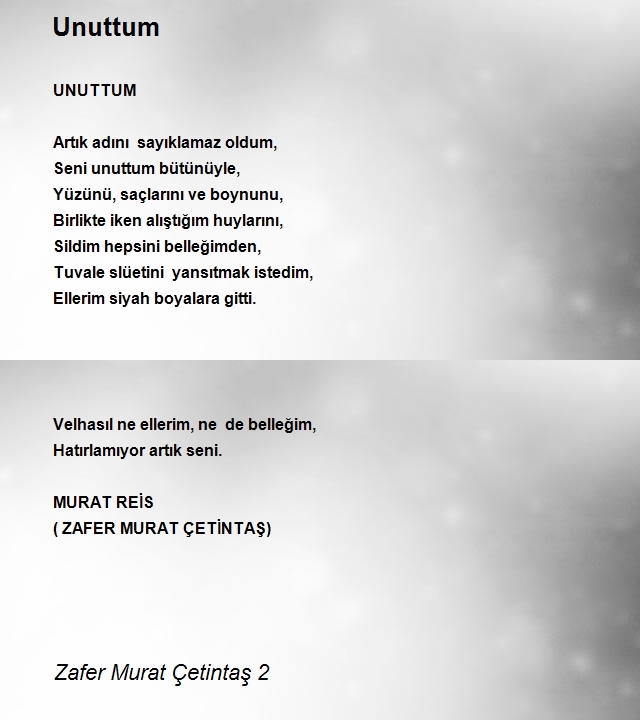 Zafer Murat Çetintaş 2