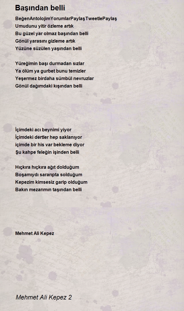 Mehmet Ali Kepez 2