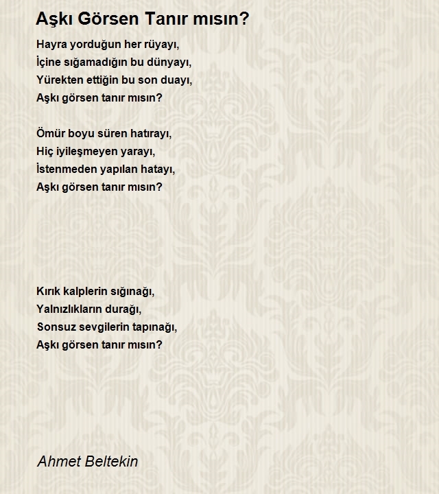 Ahmet Beltekin