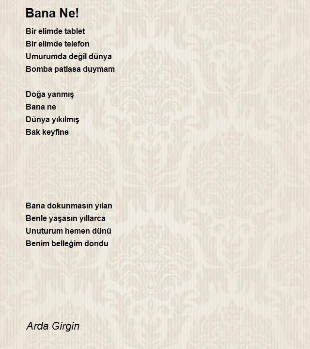 Arda Girgin