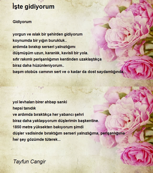 Tayfun Cangir