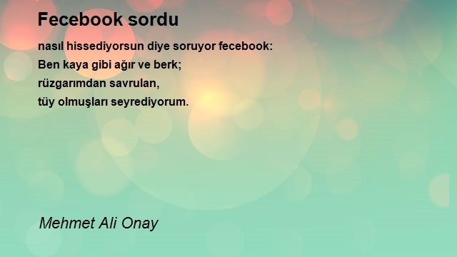 Mehmet Ali Onay