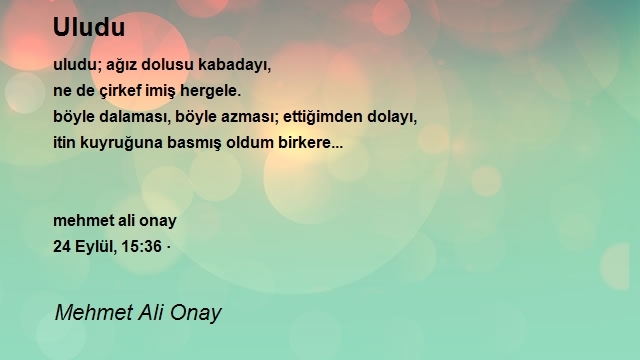 Mehmet Ali Onay