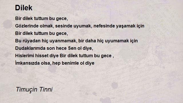 Timuçin Tinni