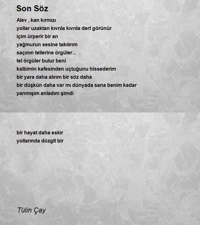 Tülin Çay