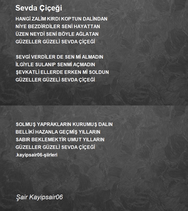 Şair Kayipsair06