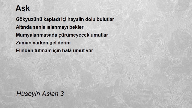 Hüseyin Aslan 3