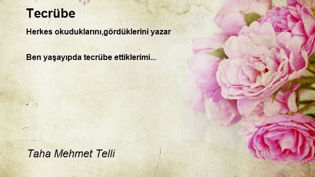 Taha Mehmet Telli