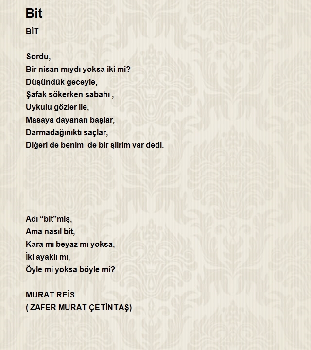 Zafer Murat Çetintaş 2