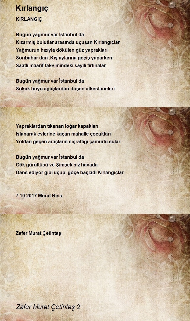 Zafer Murat Çetintaş 2