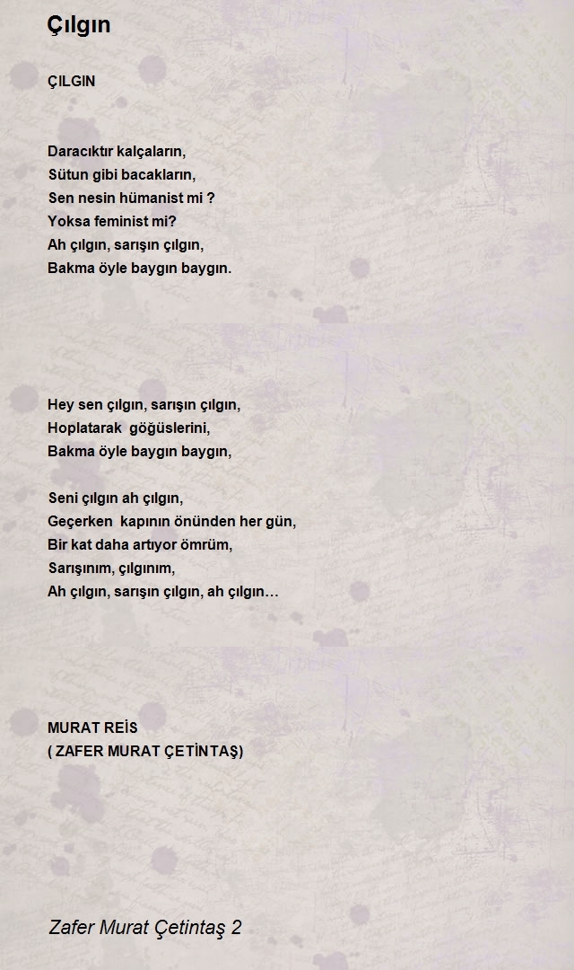 Zafer Murat Çetintaş 2