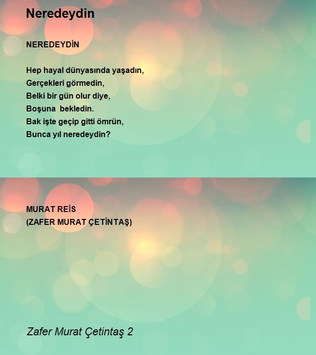 Zafer Murat Çetintaş 2