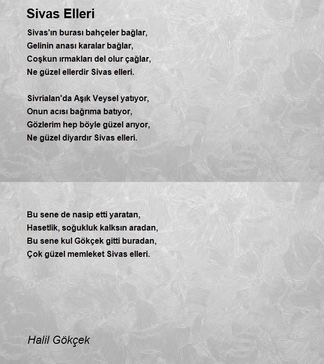 Halil Gökçek