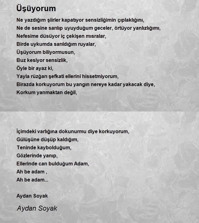 Aydan Soyak