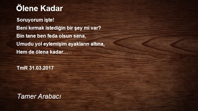 Tamer Arabacı