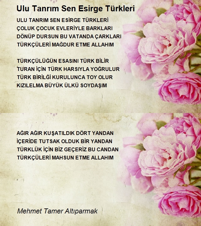 Mehmet Tamer Altıparmak