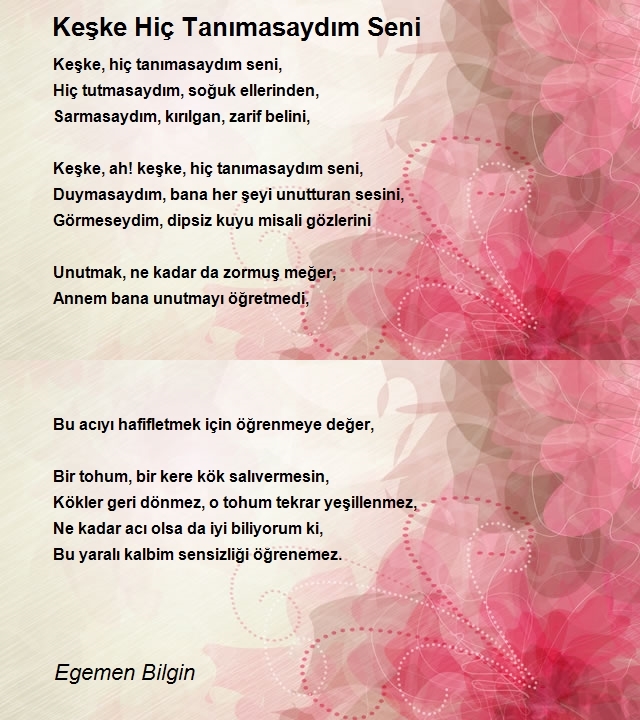 Egemen Bilgin