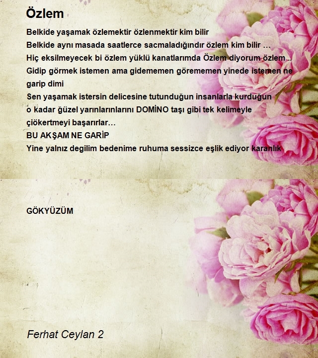 Ferhat Ceylan 2