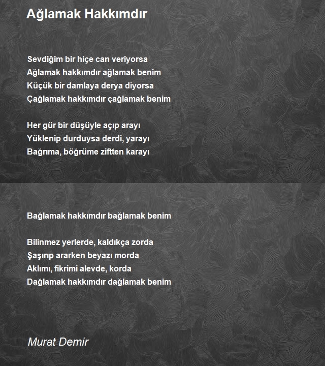 Murat Demir