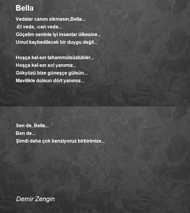 Demir Zengin