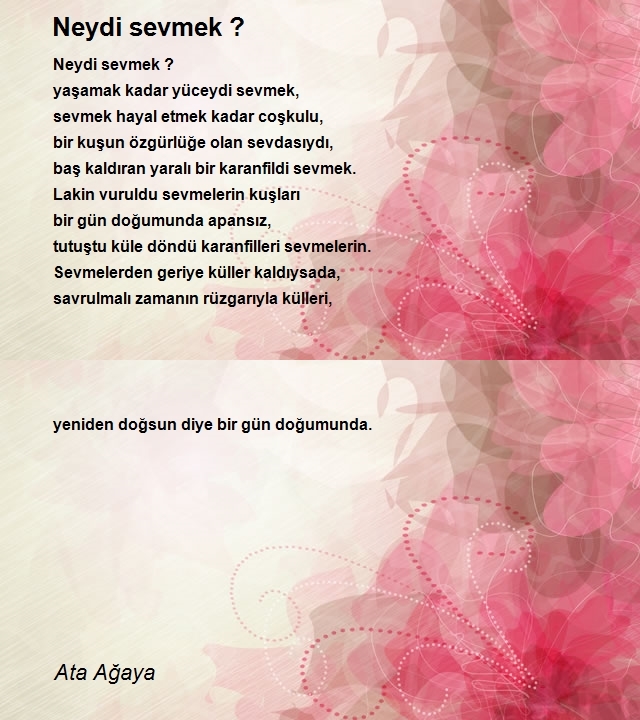 Ata Ağaya