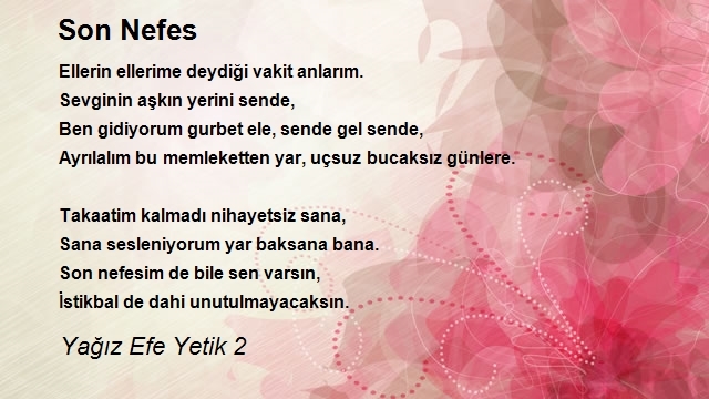 Yağız Efe Yetik 2