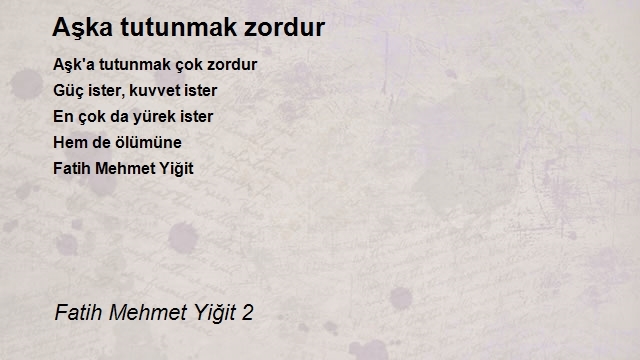 Fatih Mehmet Yiğit 2