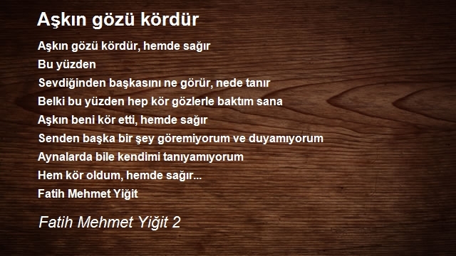 Fatih Mehmet Yiğit 2