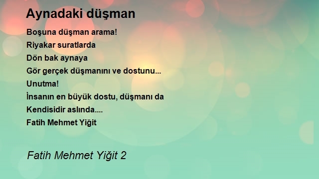 Fatih Mehmet Yiğit 2