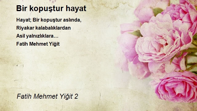 Fatih Mehmet Yiğit 2