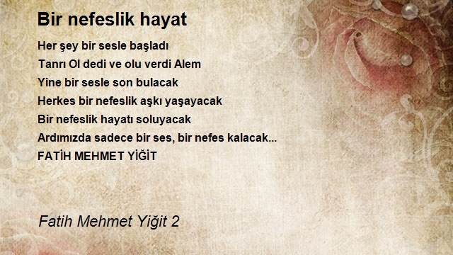 Fatih Mehmet Yiğit 2