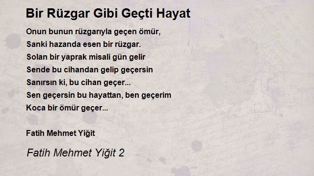 Fatih Mehmet Yiğit 2