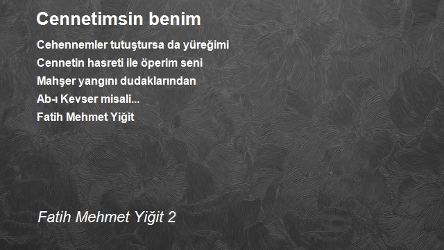 Fatih Mehmet Yiğit 2