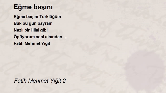 Fatih Mehmet Yiğit 2