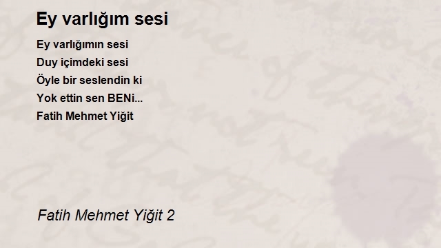 Fatih Mehmet Yiğit 2