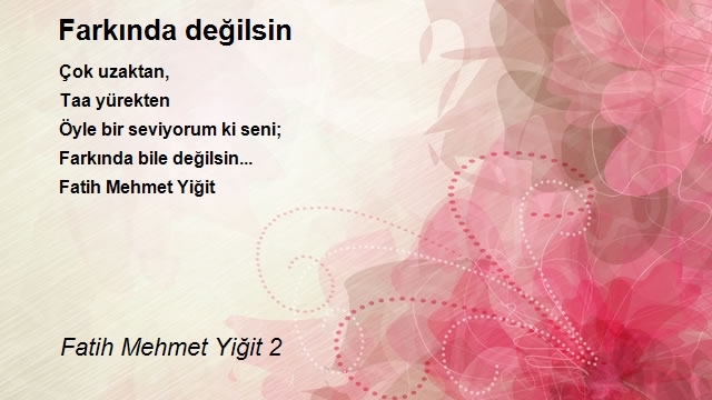 Fatih Mehmet Yiğit 2